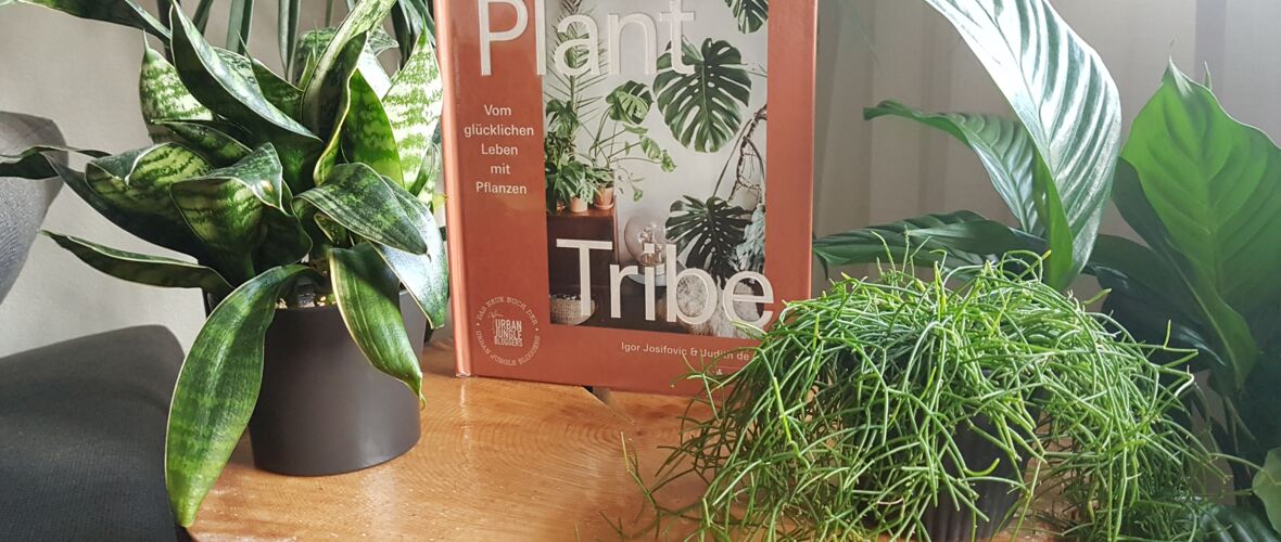 Plant Tribe Plant Tribe