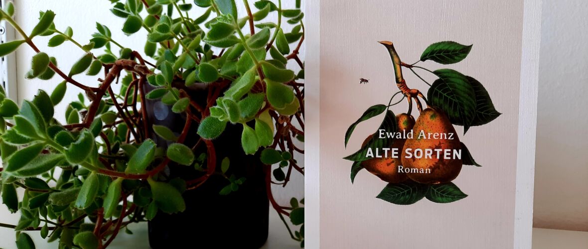 Alte Sorten Alte Sorten