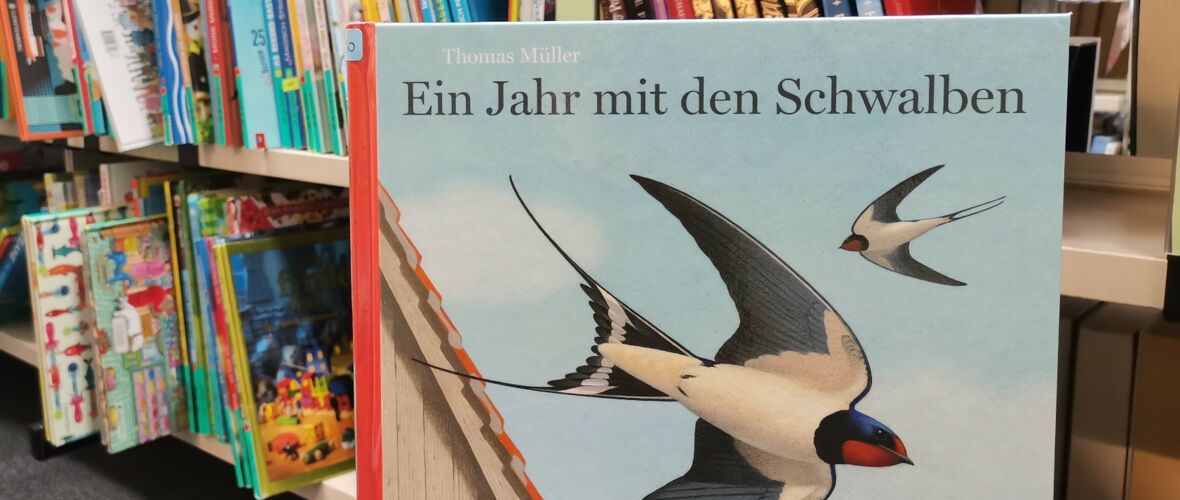 Ein Jahr mit den Schwalben 