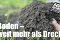 Future Soil_Header-63efd236.jpg