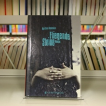 Fliegende Steine