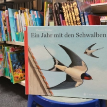 Ein Jahr mit den Schwalben