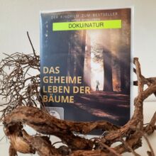 Das geheime Leben der Bäume