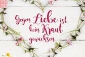 Gegen Liebe ist kein Kraut gewachsen