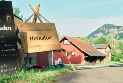 Literaturpicknick und Kübilifest