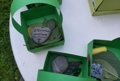 6 Kräutersteine und Bastelmaterialien in den Körbchen 6 Kräutersteine und Bastelmaterialien in den Körbchen