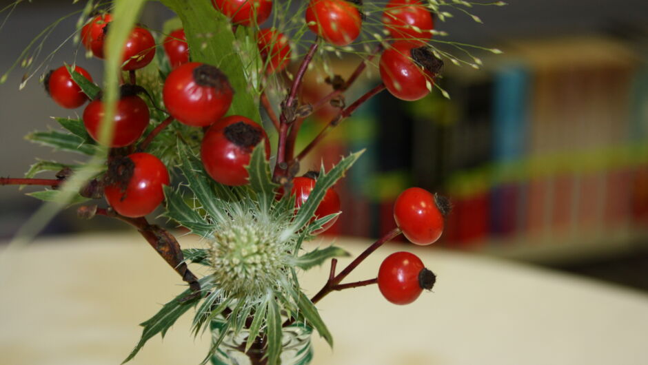 Dr. Haller (1) Dr. Haller (1)